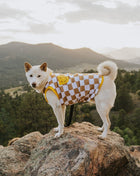 Dog Cotton Smiley Tee - Pup List