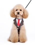 SnapGO Necktie