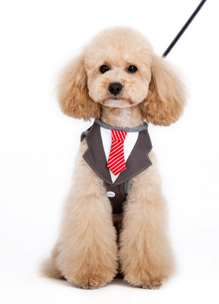 SnapGO Necktie