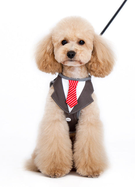 SnapGO Necktie