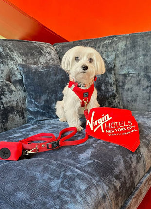 City Dog Leash - Iconic Red