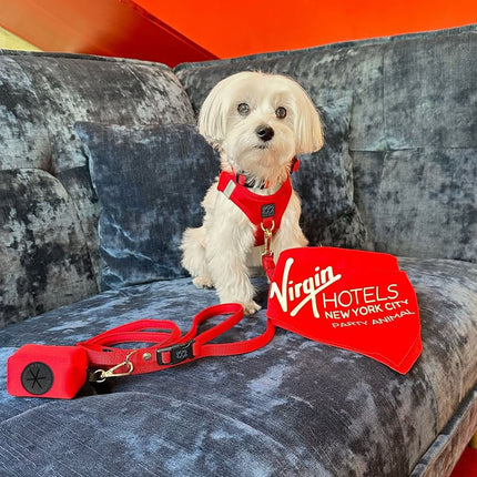 City Dog Leash - Iconic Red