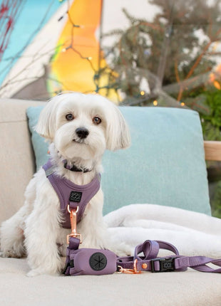 City Dog Leash - Lilac Gray