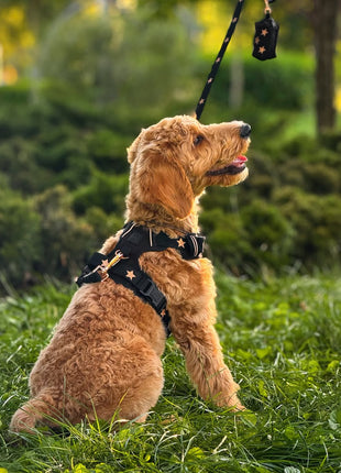 The NoMad Adjustable Luxe Harness - Rockstar