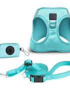 SoHo Dog Walking Set - Fifth Avenue Blue