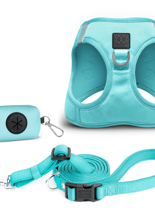 SoHo Dog Walking Set - Fifth Avenue Blue