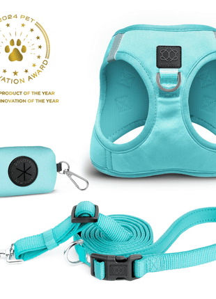 SoHo Dog Walking Set - Fifth Avenue Blue
