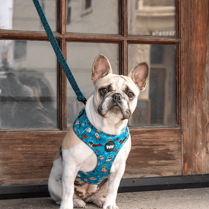 Space Dogs Adjustable Harness