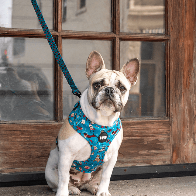 Space Dogs Adjustable Harness