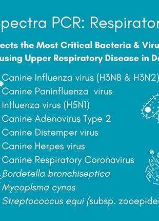 Respiratory Infection Check Mail-In Test for Dogs (PCR): At-Home Testing