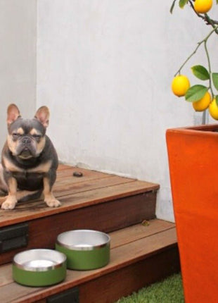 Stainless Steel Pet Bowl – Non-Slip, Durable & Dishwasher Safe | 32oz and 64oz