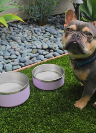 Tilley + Me Stainless Steel Pet Bowl – Non-Slip, Durable & Dishwasher Safe | 32oz and 64oz - Pup List