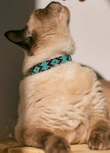 Saint Barth Sambboho cat collar