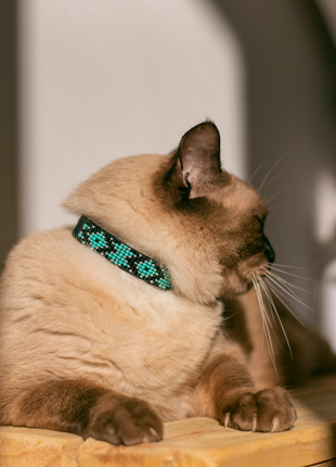 Saint Barth Sambboho cat collar