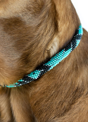 Saint Barth Sambboho dog collar (rolled)