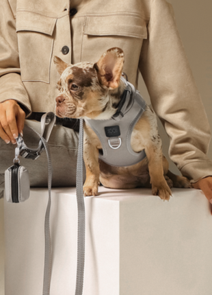 SoHo Dog Harness - Steel - Pup List
