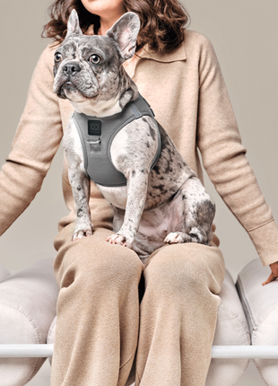 SoHo Dog Harness - Steel - Pup List