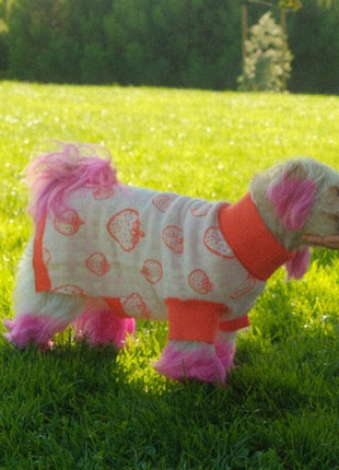 Strawberry Knitted Dog Sweater - Pup List