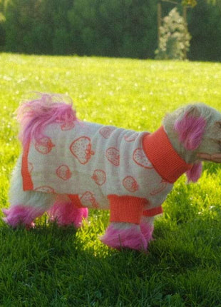 Strawberry Knitted Dog Sweater