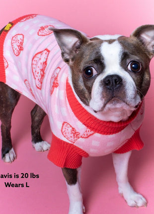 Strawberry Knitted Dog Sweater - Pup List