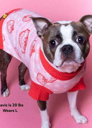 Strawberry Knitted Dog Sweater