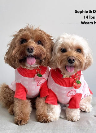 Strawberry Knitted Dog Sweater - Pup List