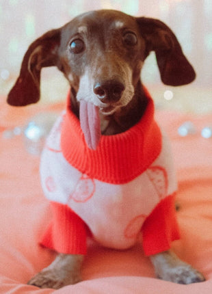 Strawberry Knitted Dog Sweater - Pup List