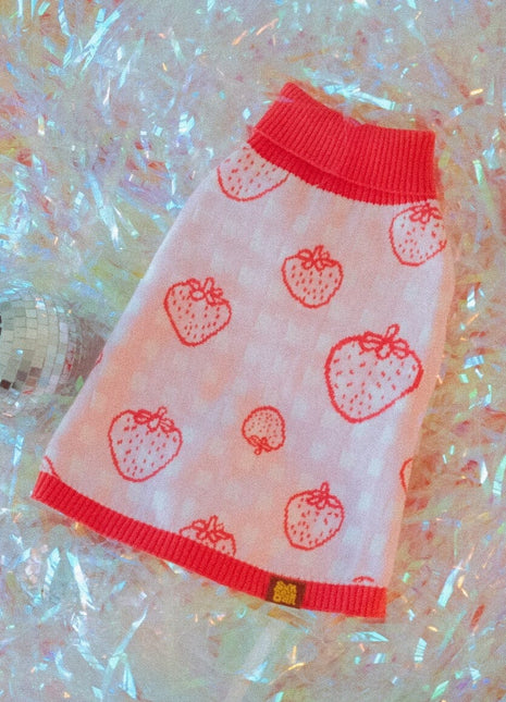 Strawberry Knitted Dog Sweater - Pup List