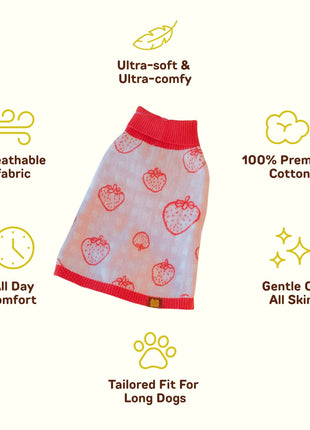 Strawberry Knitted Dog Sweater - Pup List