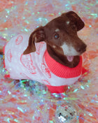 Strawberry Knitted Dog Sweater - Pup List