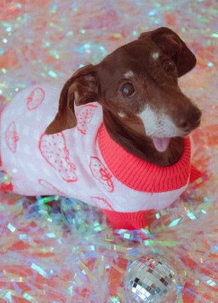 Strawberry Knitted Dog Sweater - Pup List