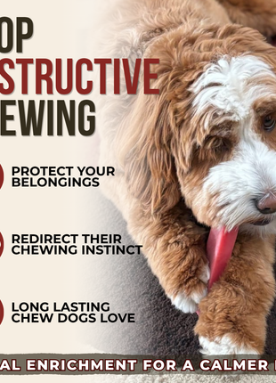 Strawberry Himalayan Yak Chew (MEDIUM)