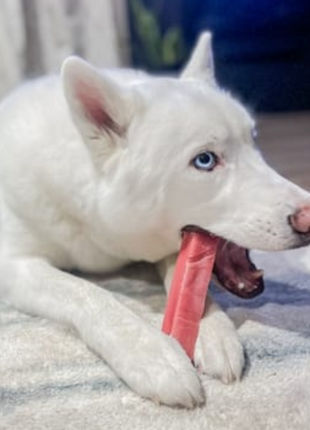 Strawberry Himalayan Yak Chew (MEDIUM)