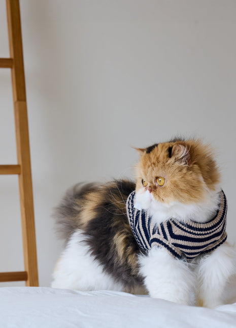 Nooee Pet Polo Wool Sweater