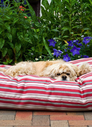 Striped Jamison Indoor Outdoor Dog Bed