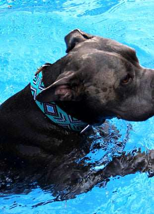 Saint Tropez Sambboho dog collar (with center D-ring)