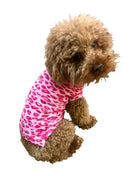 Summer Leopard Sweater, Fuchsia