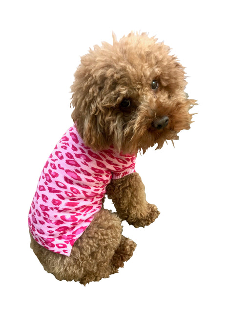 Summer Leopard Sweater, Fuchsia