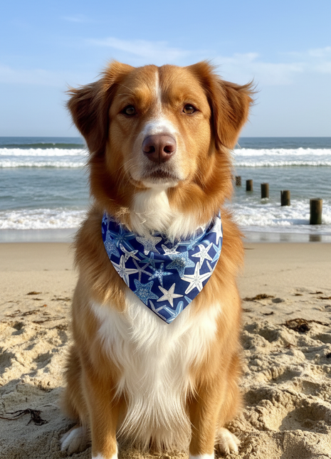 Starfish Dog Bandana