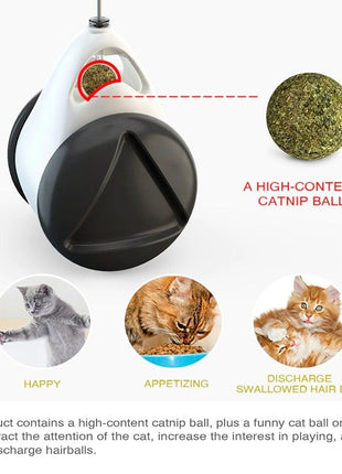 Swing Toys for Cats Kitten Interactive Balance Car Cat Chasing Toy With Catnip Funny Pet Products Indoor Cats Chaser Toys with Feather Catnip Ball Balanced Exercise Wheel Toy for Cats Chasing Hunting Playing