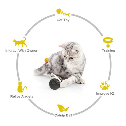 Swing Toys for Cats Kitten Interactive Balance Car Cat Chasing Toy With Catnip Funny Pet Products Indoor Cats Chaser Toys with Feather Catnip Ball Balanced Exercise Wheel Toy for Cats Chasing Hunting Playing