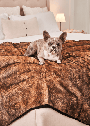 PupProtector™ Short Fur Waterproof Throw Blanket - Sable Tan