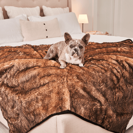 PupProtector™ Summer Short Fur Waterproof Throw Blanket - Sable Tan