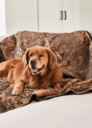 PupProtector™ Short Fur Waterproof Throw Blanket - Sable Tan