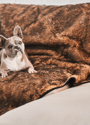 PupProtector™ Short Fur Waterproof Throw Blanket - Sable Tan