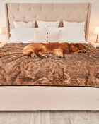 PupProtector™ Short Fur Waterproof Throw Blanket - Sable Tan