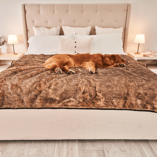 PupProtector™ Summer Short Fur Waterproof Throw Blanket - Sable Tan