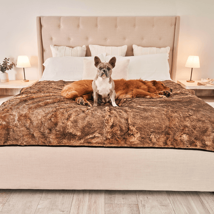 PupProtector™ Summer Short Fur Waterproof Throw Blanket - Sable Tan