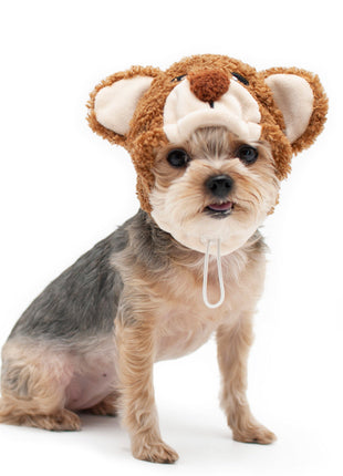 Teddy Bear Hat