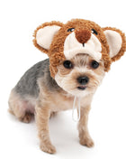 Teddy Bear Hat